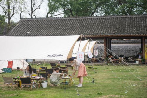 浙江稳经济一揽子政策助力露营地服务行业 抗疫情抓发展，市场主体早受益真解渴